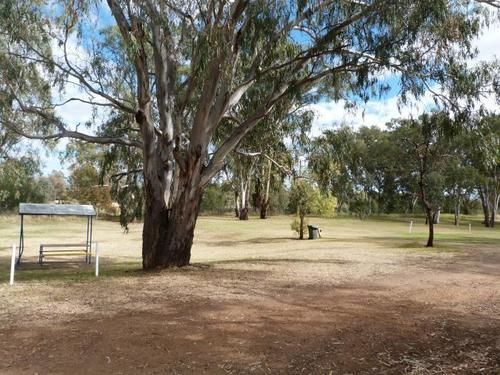 Narrabri Big Sky Caravan Park Zewnętrze zdjęcie